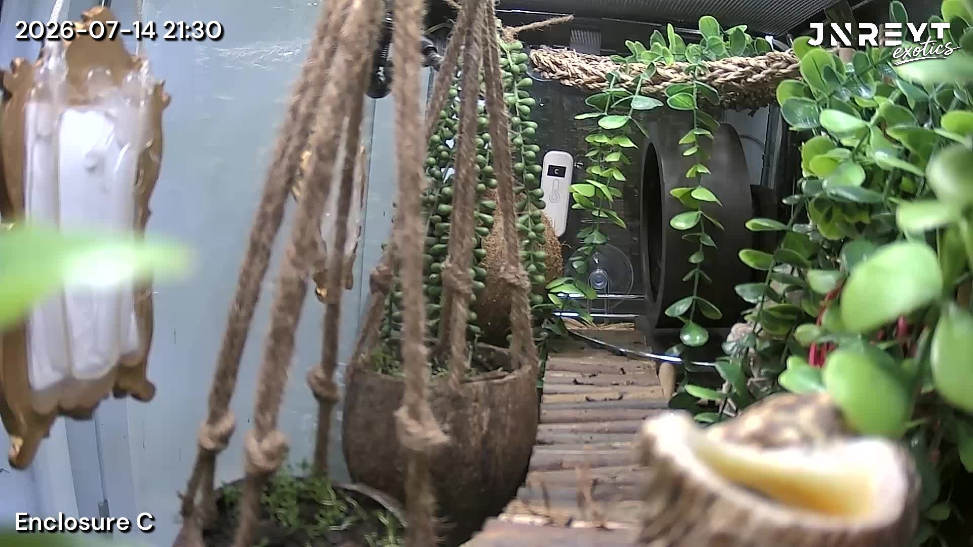 Vivarium timelapse frame