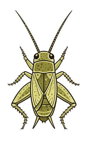 Crickets