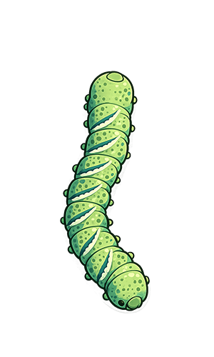 Hornworms