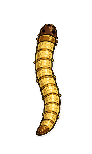 Superworms